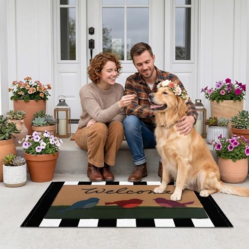 Arttown Welcome Front Coir Rug Door Mats Combo Set 17"x30"+24"x36" Birds Stripes - color: Colorful Birds