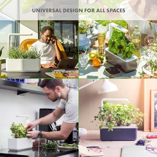 Click & Grow Indoor Herb Garden Kit with Grow Light | Smart Garden for Home Kitchen Windowsill | Easier Than Hydroponics Growing System | Vegetable Gardening Starter (3 Basil Pods Included), Grey | Easier than a hydroponic growing system. Patented Smart S