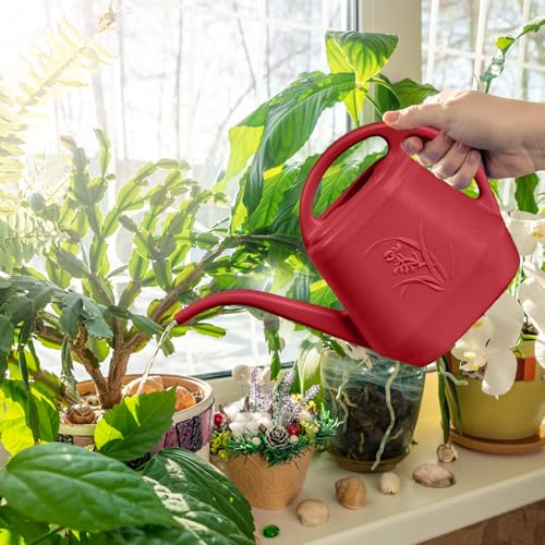 ZXJ Plant Watering Can - for Indoor and Outdoor Home Garden Plants - with Long Spout - Wine Red - 1/2 Gallon - color: Wine Red