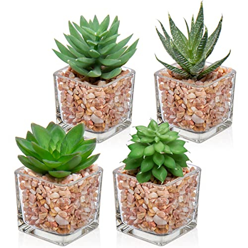 Briful Mini Fake Plants 4 Packs Succuletns Artificial Potted Plants in Cube Glass Vase Faux Succulents for Bathroom Living Room Kitchen Shelf Table Decor - color: 4pcs Succulents#06