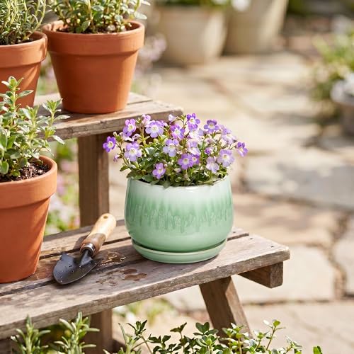 Ceramic Plant Pots - 4 Inch Pots for Plants with Drainage Hole and Saucer, Small Succulent Pot for Indoor Plants, Round Ceramic Planter, Home Office Decor, House Warming Gifts, Green - size: 4 Inch, style: Green