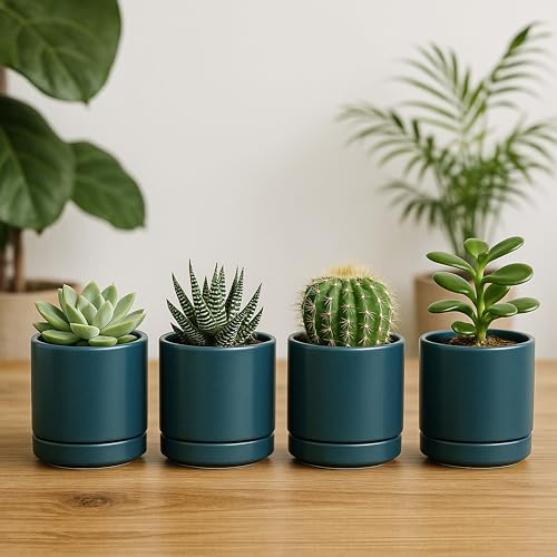 D'vine Dev 4-Pack Ceramic Pots with Saucers, Teal, 3.5 in, 94-X-A-9 | Glazed Ceramic, Drainage Hole and Saucer, Sleek Cylinder Shape, High Temperature Fired, Ideal for Small Houseplants - color: Teal, size: 3.5 Inch