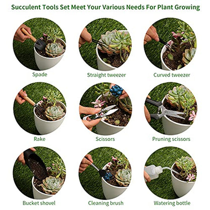 11Pcs Succulent Tools, Mini Garden Tools, Plant Repotting Set(No Flowerpot) | Succulent Watering Tool as Plant Accessories,Small Gardening Hand Tools Kit for Indoor Seedling Soil,Caring Houseplant - style: Abundant Garden Tools