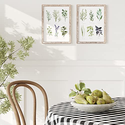 Barnyard Designs Herbs and Spices Wall Art Sign Set (Herbs A & B, 2 Signs) | Botanical Print Rustic Country Farmhouse Wood Plaque; Framed Kitchen Decor; Pair of Hanging Plaques