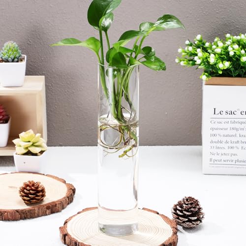CALLARON Cylinder Glass Wall Vase Set for Hydroponic Plant Propagation, Wall-Mounted Flower Tube Vase Holder, 2pcs Hanging Indoor Terrariums for Home and Office Décor