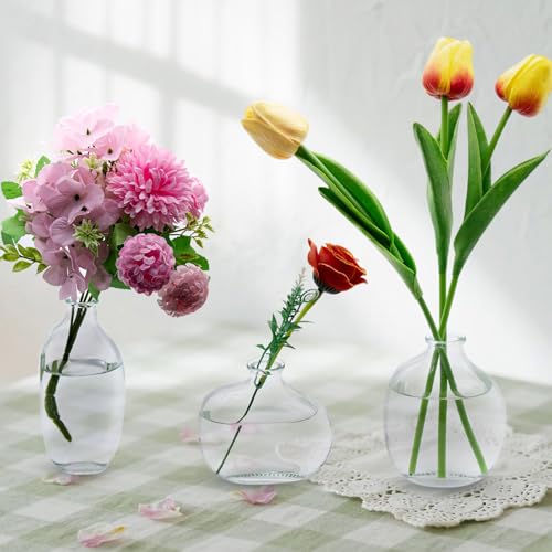 Clear Glass Bud Vases Set of 3, Small Mini Glass Vases for Flowers | Vintage Vases for Centerpieces,Flower Vase Bulk for Wedding,Table Decorations,Home Decor (Clear) - color: Clear