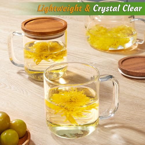 DRASTAR Glass Coffee Mugs,Clear Coffee Cups, Coffee Mug with Acacia Wood Lid, Tea Glass Cups with Handles, Large Coffee Mug Set of 2, Glass Coffee Cups for Latte, Espresso, Tea (2, 16 oz) - size: 16 oz