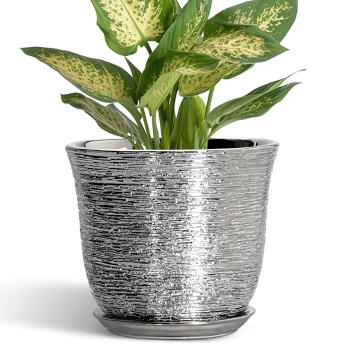 5.6 Inch Plant Pot - Ceramic Pots for Plants Indoor Outdoor, Succulent Orchid Pot with Drainage Hole and Saucer, Round Planter, Small Flower Pots, Room Decor, Gifts for Plant Lovers, Silver - color: Silver, size: 6 Inch