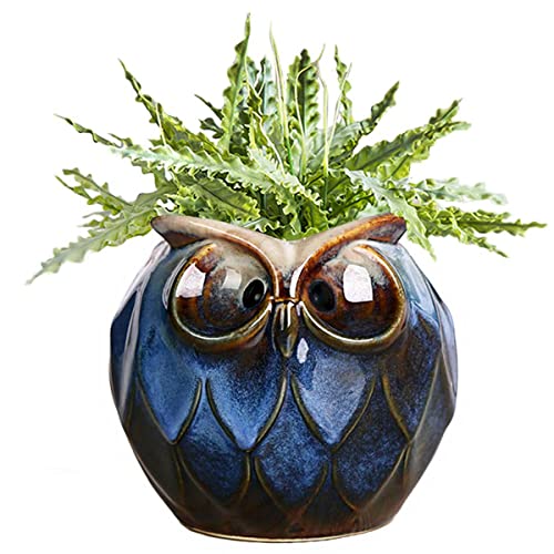 GeLive Blue Owl Ceramic Succulent Planter with Drainage Hole Animal Plant Pot Tabletop Decoration Vase Window Box Indoor Outdoor Decor (Blue) - size: 5.1" Blue