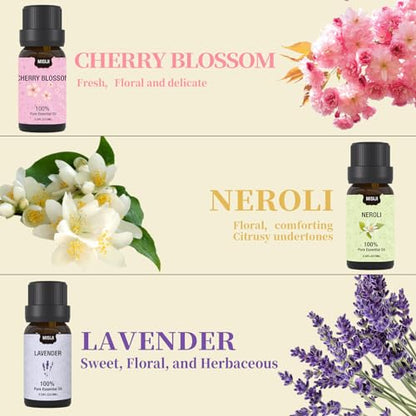 Essential Oils Set-Essential Oils for Diffuser for Home,Diffuser Oils Scents for Aromatherapy,Laundry,Candle&Soap Making,Humidifiers 6 X 10ML - color: Pitch Black