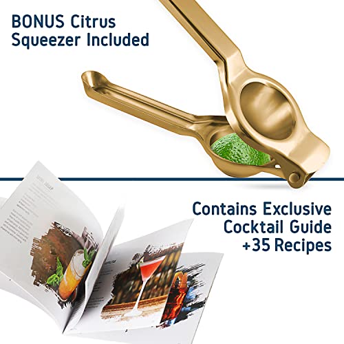 Bar Set Cocktail Shaker Set, Stainless Steel Mixology Bartender Kit, 16 Piece Cocktail Kit, Gold Cocktail Set, Bar Tools: 30oz Martini Shaker, Muddler, Bar Kit Cocktail Book, Jigger and Pourers - color: Gold, size: 16 Piece