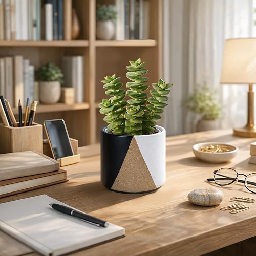 D'vine Dev 2-Pack Cachepot with Clear Pot, 4.5 in, Midnight Mesa, 93-V-B-2 | Dual-Pot System, Root Visibility, Bottom Watering Support, Enhanced Drainage, Artistic Stoneware Design, Easy Plant Care - color: Midnight Mesa, size: 4.5” Cachepot + 4“ Clear Gr