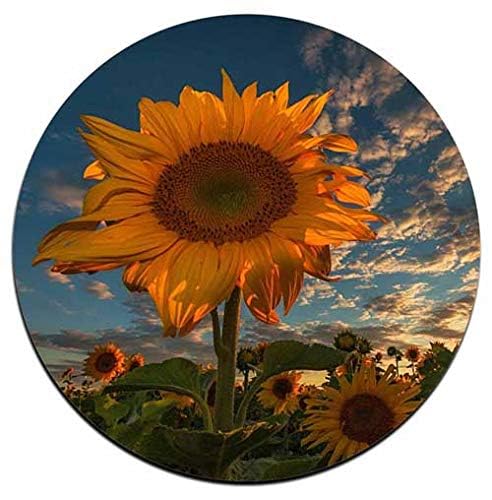 Sunflower Round Coaster Set - Made of Recycled Rubber - Set of 4 - color: Sunflower