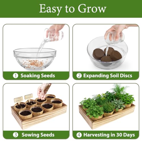 LUOJIBIE Herb Garden Kit Indoor, Herb Growing Kit with Seeds & Tools, Birthday Gifts for Women Men Mom Dad Girls Boys, House Warming Gifts New Home, Anniversary Wedding Gifts, Kitchen Décor