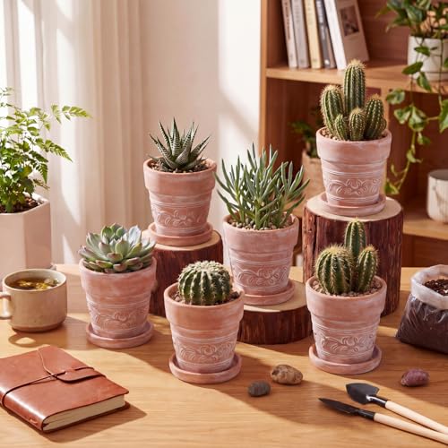 Set of 6 Embossed Succulent Pots 4" Small Terracotta Pots with Drainage Hole and Saucer Rustic Clay Succulent Planter Pot Decorative Ceramic Cactu Flower Pot for Indoor Outdoor(Leaf Style) - size: 4 Inch, style: Leaf Style