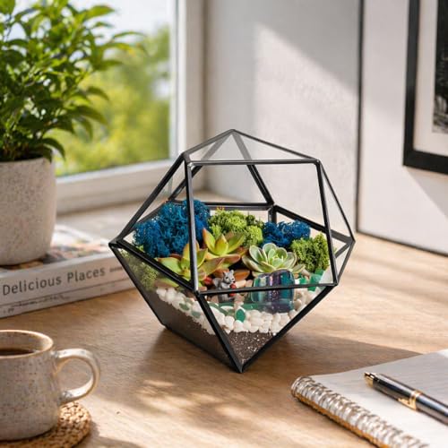Creations by Nathalie DIY Geometric Glass Terrarium Kit with Moss & Tools | DIY geometric glass terrarium kit with moss, tools, and supplies for creating an indoor terrarium display with your plants. - color: 7” Geometric Dodecahedron