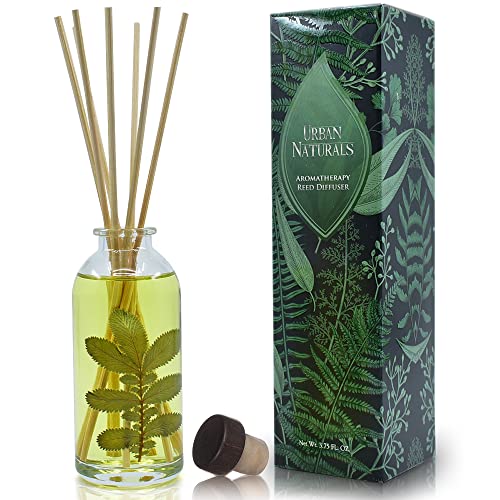 Reed Diffuser Set, Eucalyptus Sage - Bathroom Shelf Décor | Mint, Lime & Cedarwood Essential Oils, Soothing & Relaxing scent for Bathroom or Bedroom - color: Eucalyptus Sage