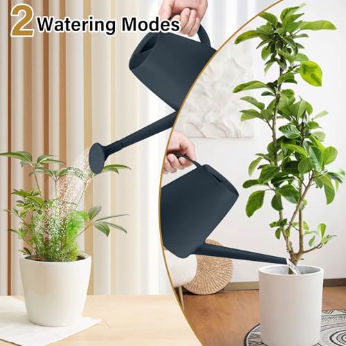 Watering Can - for Indoor and Outdoor House Plant Garden - with Long Spout - 1/2 Gallon - Grey - color: Gray