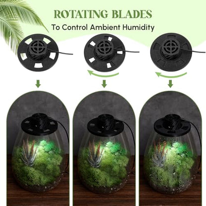 Glass Plant Terrarium Kit with LED Grow Light, Desk Terrarium for Venus Fly Trap, Succulents, Moss & Miniature Garden, Borosilicate Glass Desktop Planter for Home Office(6.9 x 7.8 Inch) - size: 6.9 x 7.8 Inch