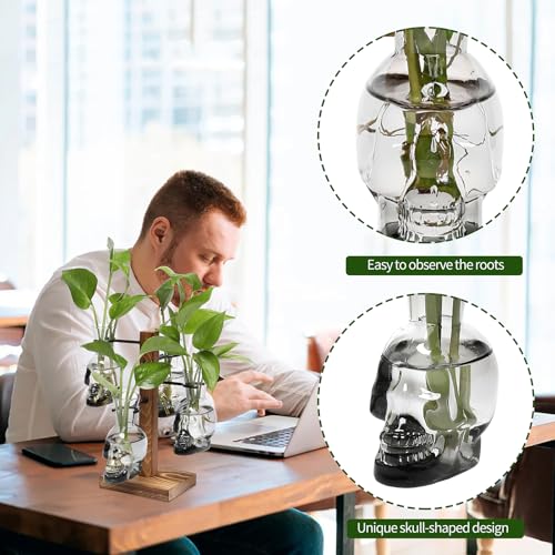 Plants Propagation Stations Skull Glass Propagation Birthday Gift for Women | Garden Plant Lovers - 4 Skull - color: Gray