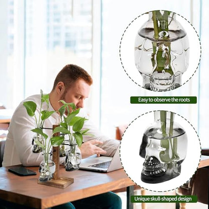 Plants Propagation Stations Skull Glass Propagation Birthday Gift for Women | Garden Plant Lovers - 4 Skull - color: Gray