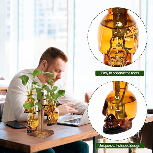 Plants Propagation Stations Skull Glass Propagation Birthday Gift for Women | Garden Plant Lovers - 4 Skull - color: Amber