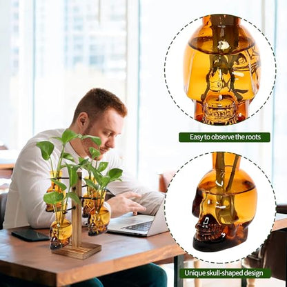 Plants Propagation Stations Skull Glass Propagation Birthday Gift for Women | Garden Plant Lovers - 4 Skull - color: Amber