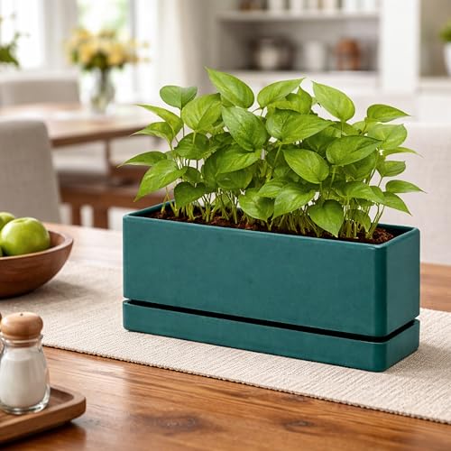 D'vine Dev Rectangular Planter, 12 x 4.5 in, Green, Set of 1, 76-X-C-1 | Minimalist Design, Large Planting Capacity, Drainage Holes & Saucer, Thick-Walled Durable Build, Ideal for Windowsills - color: Green