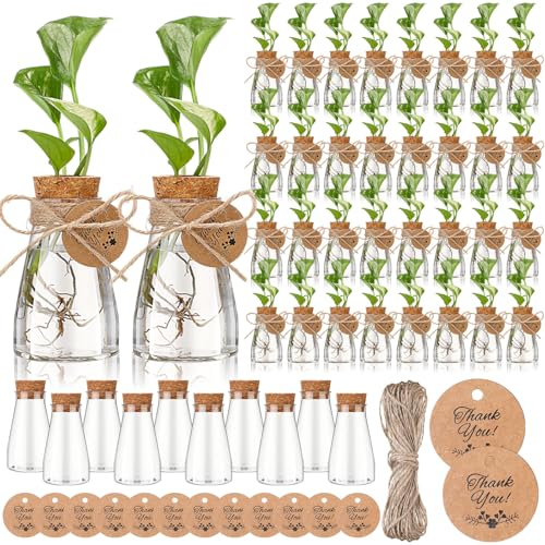 24 Pack 3.35'' Plastic Plant Propagation Stations with Hole Lid Planter Vase Clear Propagation Jars with Thank You Tags for Plant Lover Gifts for Women Office Home Garden