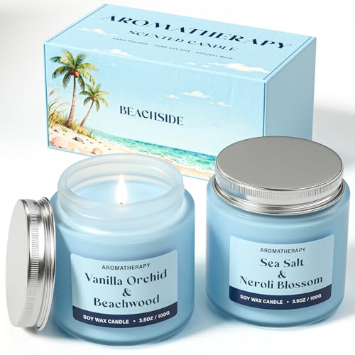 Summer Scented Candles Gifts for Women, Soy Candle Gift Set, 2 Pack Fresh Summer Aromatherapy Candles for Relaxing & Home Decor - color: Summer Candle