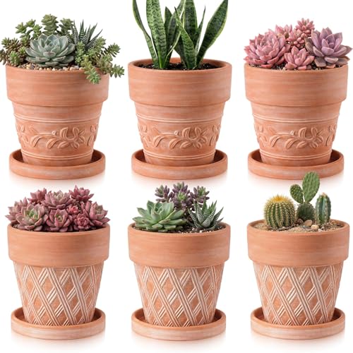Set of 6 Embossed Succulent Pots 4" Small Terracotta Pots with Drainage Hole Saucer Mini Rustic Clay Succulent Planter Pot Decorative Ceramic Cactu Flower Pot for Indoor Outdoor(Lattice Leaf) - size: 4 Inch, style: Lattice and Leaf