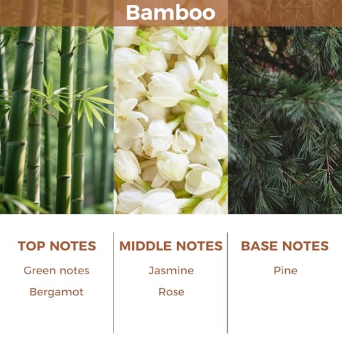 Bamboo Reed Diffuser Set,100ml Scented Oil Diffuser