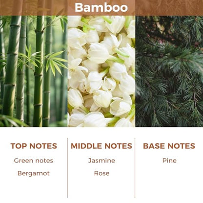 Bamboo Reed Diffuser Set,100ml Scented Oil Diffuser