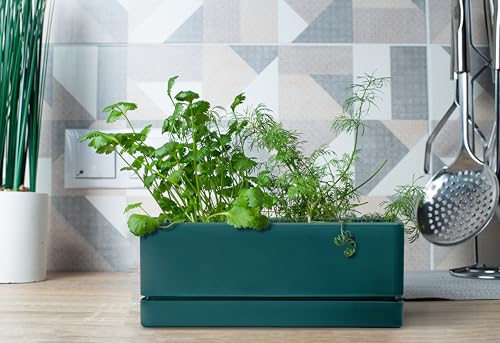 D'vine Dev 2-Pack Rectangular Planters, 12 x 4.5 in, Green, 76-X-C-2 | Minimalist Design, Large Planting Capacity, Drainage Holes & Saucer, Thick-Walled Durable Build, Ideal for Windowsills - color: Green