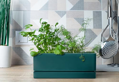 D'vine Dev 2-Pack Rectangular Planters, 12 x 4.5 in, Green, 76-X-C-2 | Minimalist Design, Large Planting Capacity, Drainage Holes & Saucer, Thick-Walled Durable Build, Ideal for Windowsills - color: Green