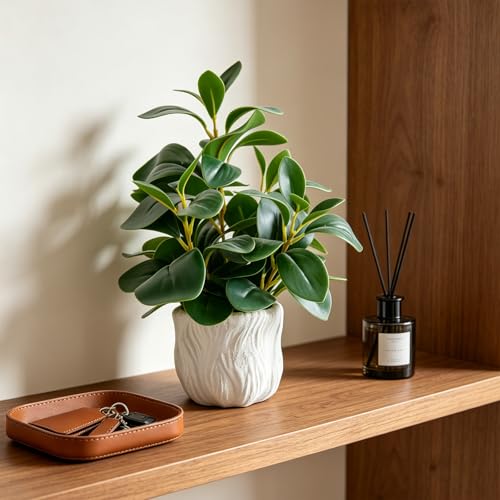 14" Artificial Potted Plant with Thick Leaves in White Textured Pot | Realistic Thick Leaves , Compact Desk & Shelf Plant , White Textured Decorative Pot , Modern Home & Office Decor