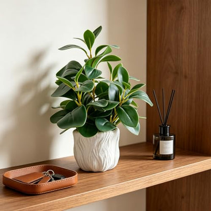 14" Artificial Potted Plant with Thick Leaves in White Textured Pot | Realistic Thick Leaves , Compact Desk & Shelf Plant , White Textured Decorative Pot , Modern Home & Office Decor