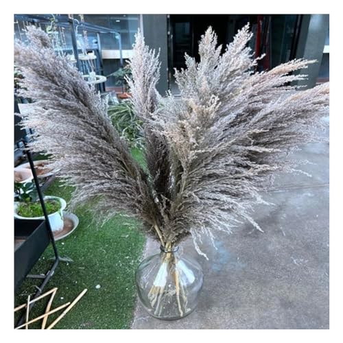 ECYC Ltd 12 Pcs Tall Dried Pampas Grass for Floor Vase, 23.62 inch Natural Dried Pampas Grass Bouquet Fluffy Large Pampas Grass Dried Plants Pampas Flowers for Home, Farmhouse, Wedding, Party Decor - color: Grey, size: 12 Pcs