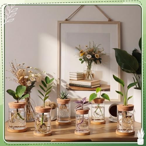 Hushee 12 Pcs Plants Propagation Stations Glass Propagation Jars with Hole Lid Hydroponic Terrarium Vases Gifts for Plant Lovers Home Indoor Office Tabletop Decoration, 2 Sizes