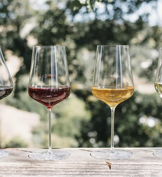 Zalto Universal Wine Glass – Austrian Craftsmanship, Hand-Blown by Master Artisans in Europe – Lead-Free & Dishwasher-Safe Crystal Stemware for Red & White Wines – Wine Gift of 4 Glasses