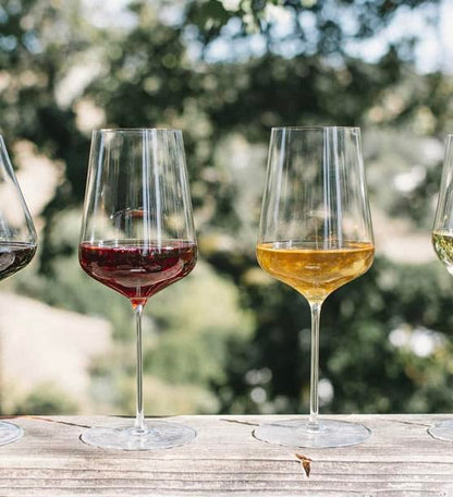 Zalto Universal Wine Glass – Austrian Craftsmanship, Hand-Blown by Master Artisans in Europe – Lead-Free & Dishwasher-Safe Crystal Stemware for Red & White Wines – Wine Gift of 4 Glasses