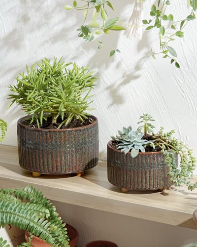 LE TAUCI Succulent Pots, 6.5+8 Inch Ceramic Pots for Plants Indoor, Shallow Round Succulent Planters with Drainage Hole, Set of 2, Reactive Glaze Black - color: Reactive Glaze Black