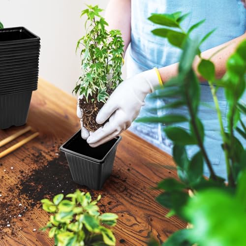 Anyumocz 100Pcs Square Plant Nursery Pots,3.5 Inch Plastic Pots with Drainage Holes,Reusable Seed Starter Pots for Flowers,Vegetables,Garden Planting,Transplanting,Succulents,Cuttings(Black) - color: 100pcs Black