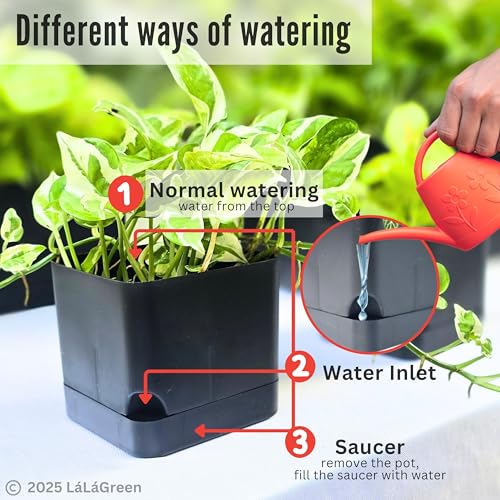 LaLaGreen Planters for Indoor Plants (7 Pack) Rectangular Flower Boxes | Self-Watering System Black Window Box Planter, Plastic Herb Garden Long Windowsill Plant with Drainage Modern Stylish Outdoor - color: Black