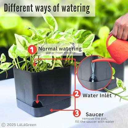 LaLaGreen Planters for Indoor Plants (7 Pack) Rectangular Flower Boxes | Self-Watering System Black Window Box Planter, Plastic Herb Garden Long Windowsill Plant with Drainage Modern Stylish Outdoor - color: Black