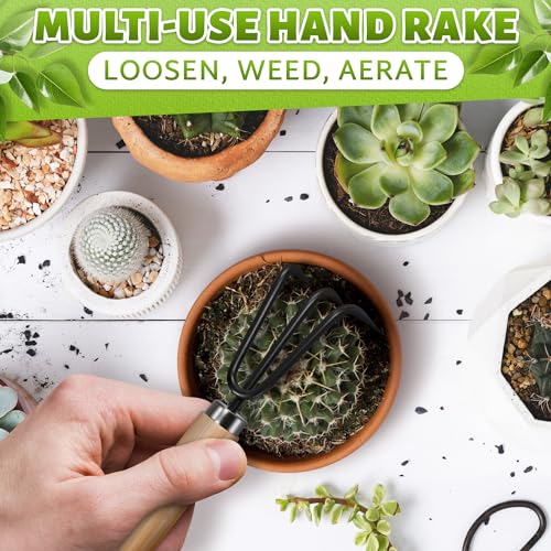 Mini Garden Tools for House Plants, Mini Shovel, Trowel & Hand Rake | Small Garden Tools for Potted Plants, Bonsai and Succulents; Rust-Resistant Heads; Wood Handles; Repotting and Soil Loosening