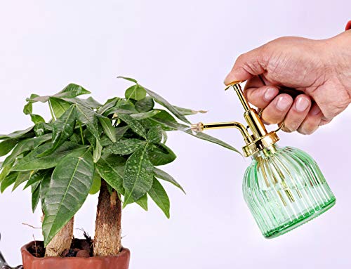 Glass Plant Mister Spray Bottle, 6.5" Green Glass Water Spray Bottle with Gold Top Pump Small Watering Can, Small Plant Sprayer Mister for Indoor Outdoor House (Green+Gold A) - style: Green+Gold A