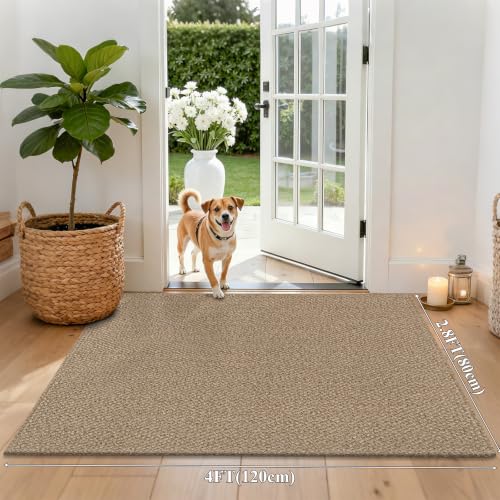 HEBE Cotton Woven Small Area Rug 2'8"x4', Washable Braided Indoor Door Mat | Non Slip Rubber Backed Entryway Rug, Neutral Low Profile Doormat Entrance Carpet for Front Porch, Bathroom, Kitchen - size: 2'8" x 4' (Rectangular)