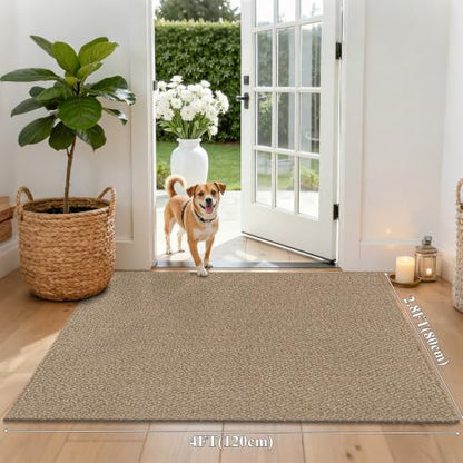HEBE Cotton Woven Small Area Rug 2'8"x4', Washable Braided Indoor Door Mat | Non Slip Rubber Backed Entryway Rug, Neutral Low Profile Doormat Entrance Carpet for Front Porch, Bathroom, Kitchen - size: 2'8" x 4' (Rectangular)