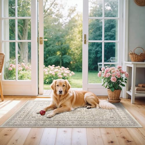 2x4 Washable Entryway Area Rug - Non-Slip Boho Throw Rugs Beige Gray | Low Pile Thin Small Carpet for Kitchen Soft Pet-Friendly Indoor Door Mat for Kitchen Bedroom Bathroom Home Decor - color: Beige/Gray, size: 2' x 4' (Rectangular)